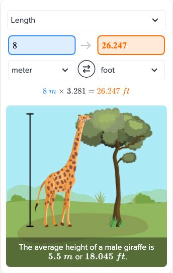 2.9m in numbers|2.9 Meters to Feet .